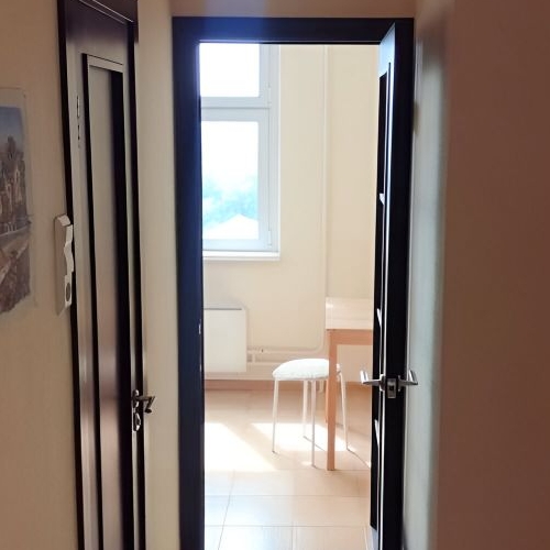 1-комн квартира Нарвская улица, 1Ак2