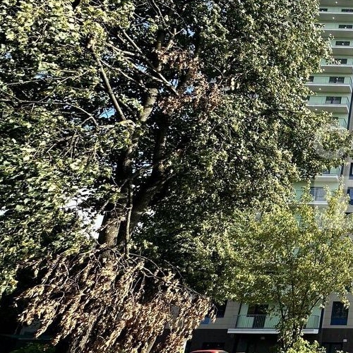 Студия Ивантеевка, Заводская улица,  д. 9А