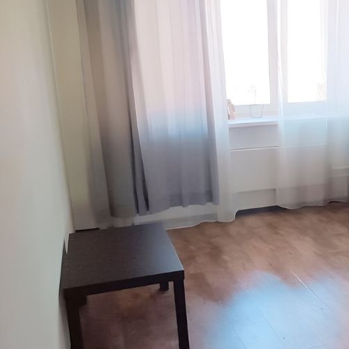 1-комн квартира Дзержинский, Лесная улица, 11