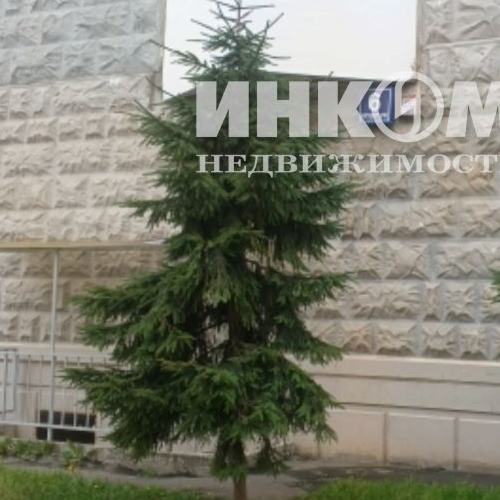 3-комн квартира Школьный мкр, д. Брехово,  д. к6