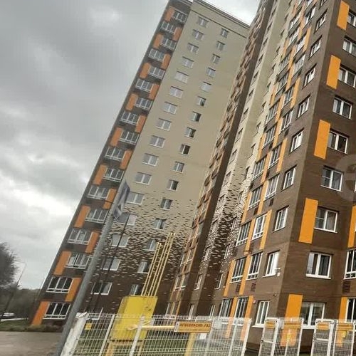 1-комн квартира Щелково, улица Механизаторов, 1Б