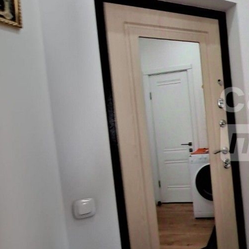 Студия д. Новая Купавна, улица Новая, 2