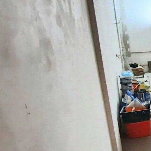 Студия д. Глухово, улица Рублевское Предместье, 9к1