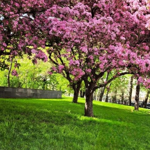 4-комн квартира Шмитовский проезд, 16С2