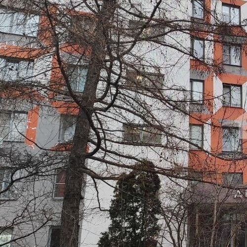 Студия Дегунинская улица, 1К4