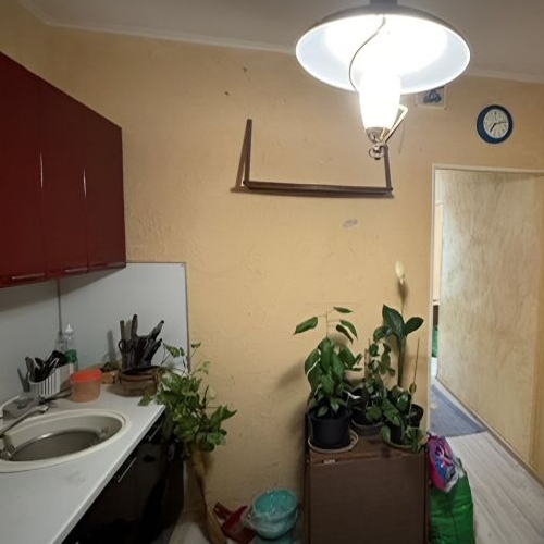 1-комн квартира Школьный мкр, д. Брехово,  д. к9