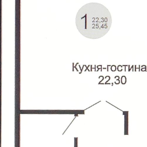 Студия д. Новая Купавна, улица Новая, 4