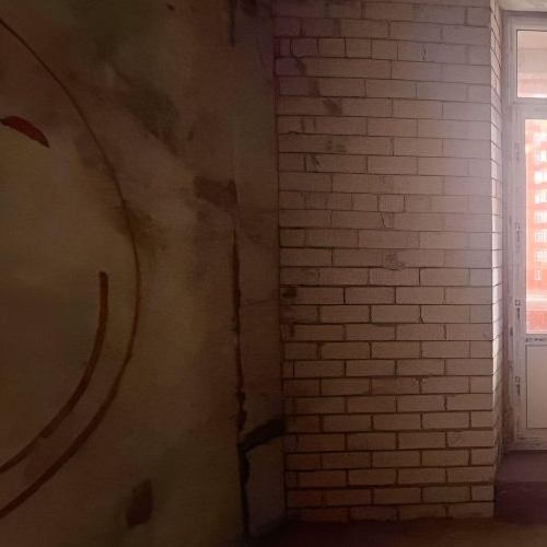 2-комн квартира пос. Горки-10, 34