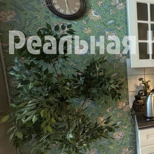 Студия Мытищи, Октябрьский проспект, 10А