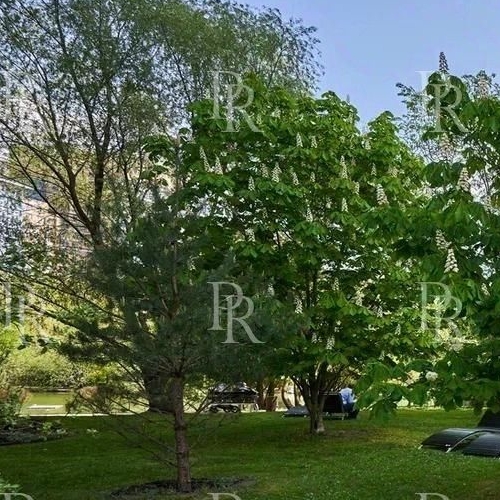 2-комн квартира проспект Вернадского, 94к5