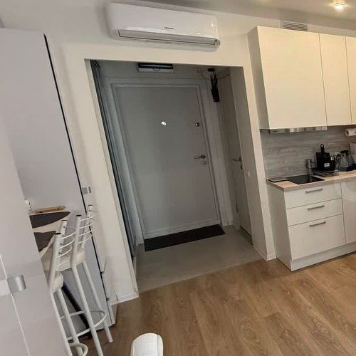 Студия улица Академика Павлова, 38к1