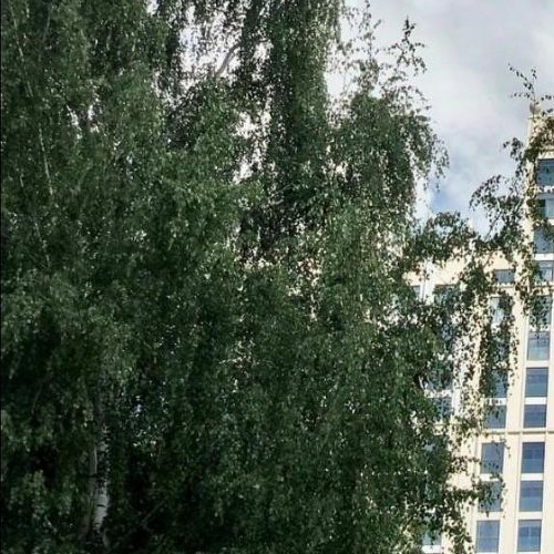 1-комн квартира Нежинская улица, 5к2