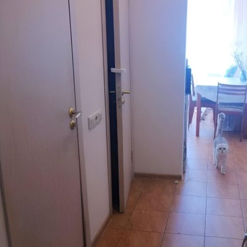 1-комн квартира Клязьма кв-л, улица Летчика Ивана Федорова, 7