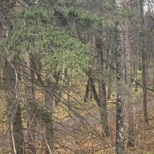 4-комн квартира пос. Нагорное, шоссе Липкинское, 12