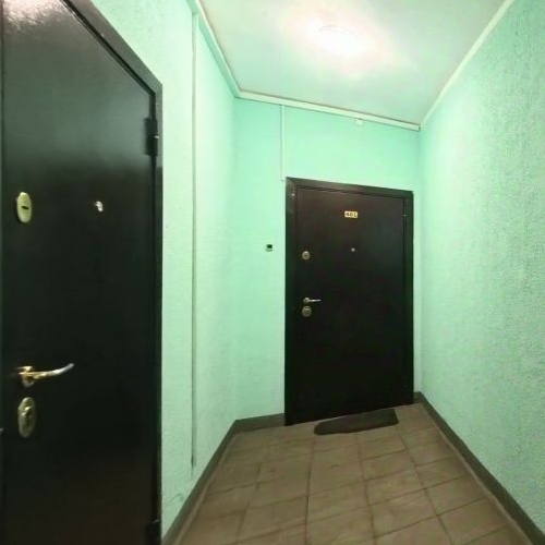 3-комн квартира Балашиха, улица Демин луг, 6/5