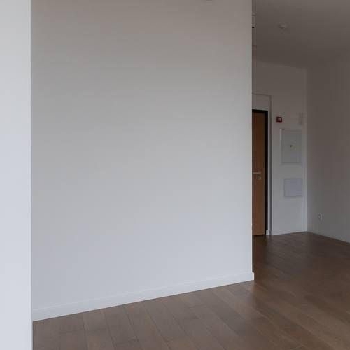 Студия Мичуринский проспект, 56