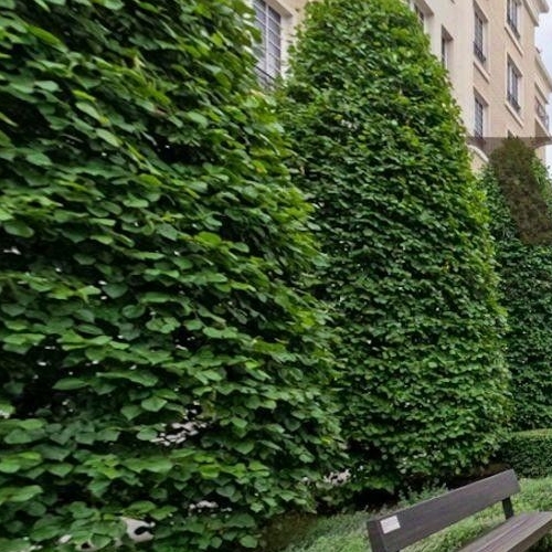 4-комн квартира улица Ефремова, 19к1