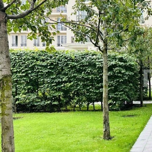 6-комн квартира улица Ефремова, 19к2