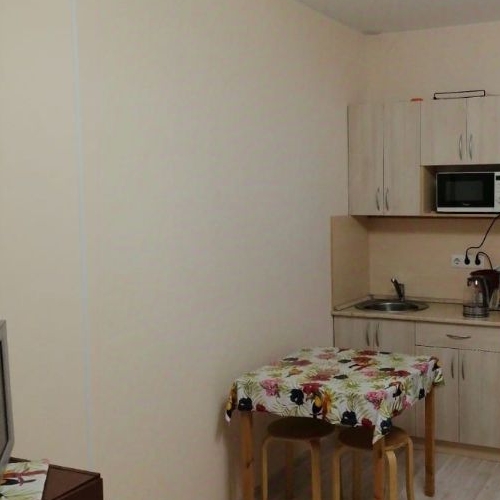 1-комн квартира д. Целеево, улица Пятиречье, 4Б