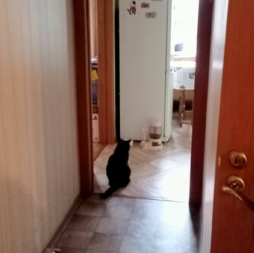 2-комн квартира Шувое, Советская улица