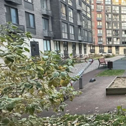 Студия улица Медовая Долина, 5к1