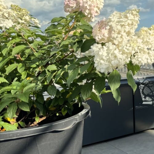 Студия улица Казакова, 7