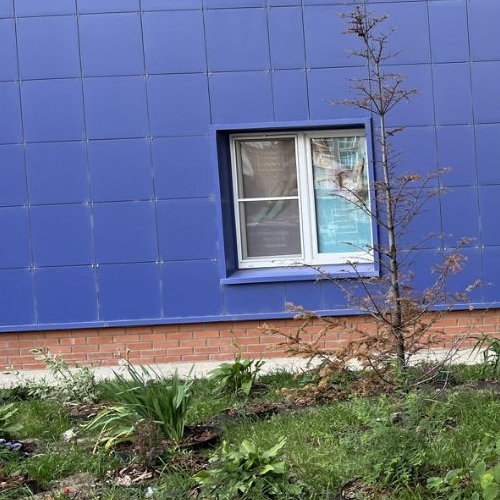 Студия Дубна, проспект Боголюбова, 22А