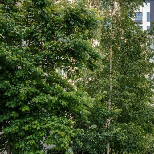 2-комн квартира Мосфильмовская улица, 1А