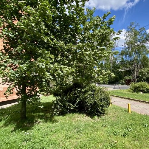 2-комн квартира Мытищи, Октябрьский проспект, 16