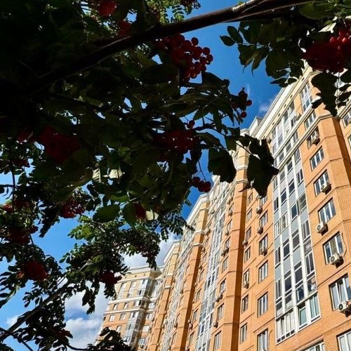 1-комн квартира 6-я Радиальная улица, 5к1