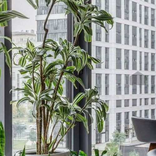 4-комн квартира Ленинградский проспект, 36с36