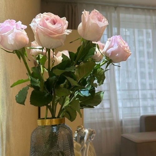 Студия Шелепихинская набережная, 42к1