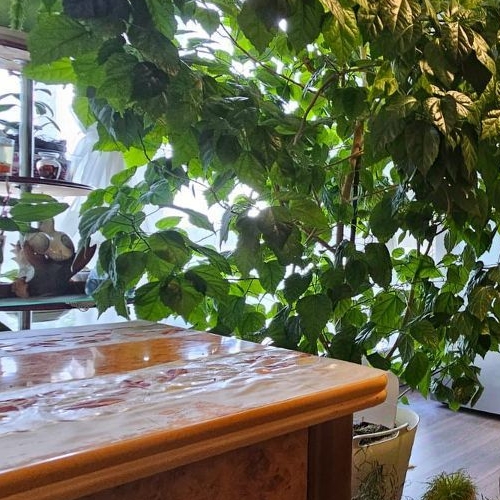 1-комн квартира Хорошевское шоссе, 12к1