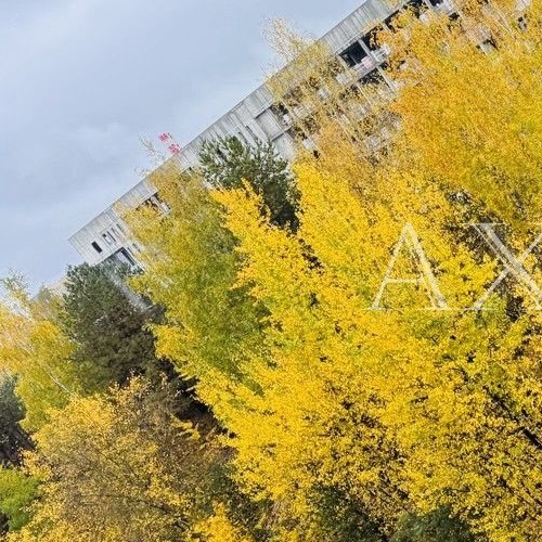 2-комн квартира д. Глухово, улица Рублевское Предместье, 26