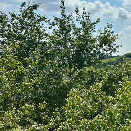 2-комн квартира Нагорная улица, 7К1