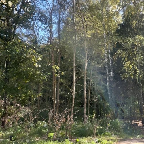 2-комн квартира Школьный мкр, д. Брехово,  д. к5