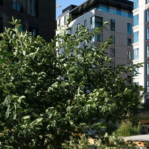 4-комн квартира Мосфильмовская улица, 1к6