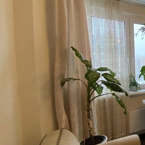 2-комн квартира Железнодорожный мкр, Балашиха, улица Корнилаева,  д. 18