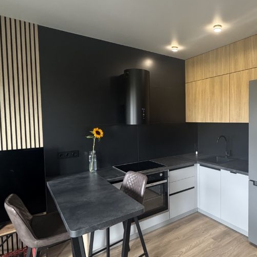 Студия улица Академика Павлова, 56к1