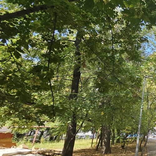 Студия улица 2-я Энтузиастов, 3