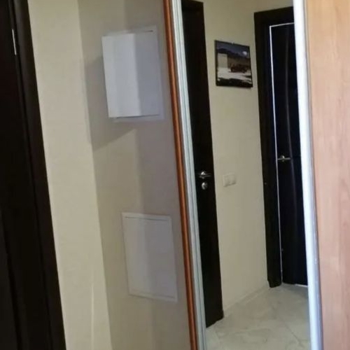 1-комн квартира Пушкино, улица Чехова, 1к1