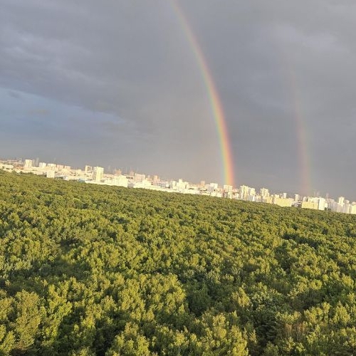 1-комн квартира Химки, улица Бабакина, 15