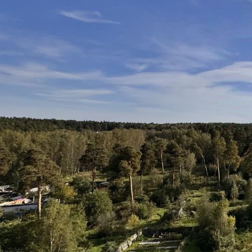 2-комн квартира Красноармейск, улица Новая Жизнь,  д. 8к1