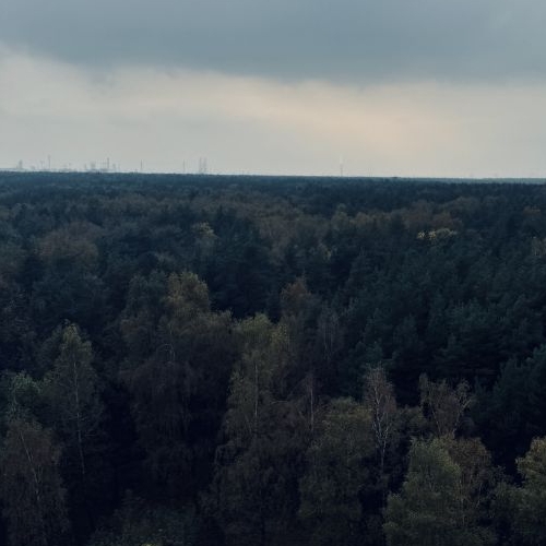 Студия Котельники, улица Сосновая, 1к2