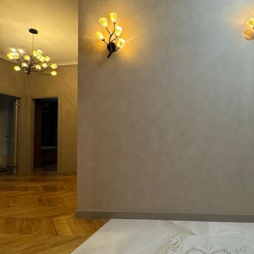 3-комн квартира улица Петра Алексеева, 14