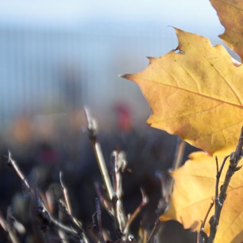 Студия улица Даниловский Вал, 1А