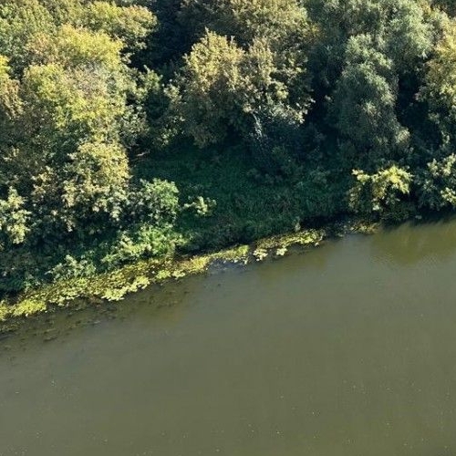 Студия Волоколамское шоссе, 81/2с6