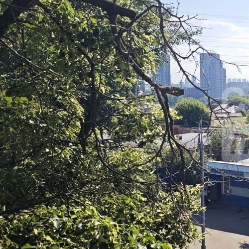 Студия Строительный проезд, 2С1