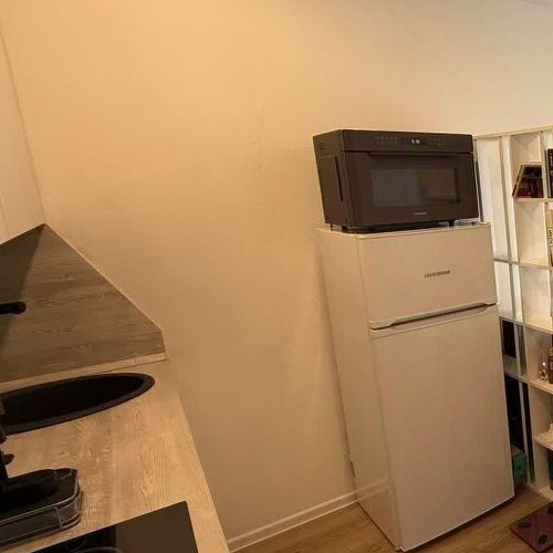 Студия улица Академика Павлова, 38к1