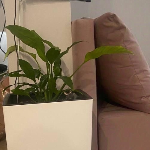 2-комн квартира Дмитровское шоссе, 71А